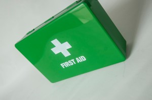Duke First Aid Case 26x16x7cm - Green Empty